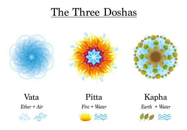 shatavariayurveda.com -doshas