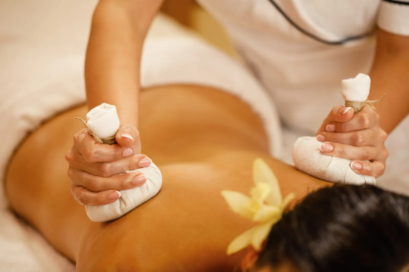 shatavariayurveda.com -sinus